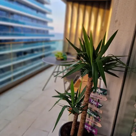 Apartamento Compas Mamaia Nord