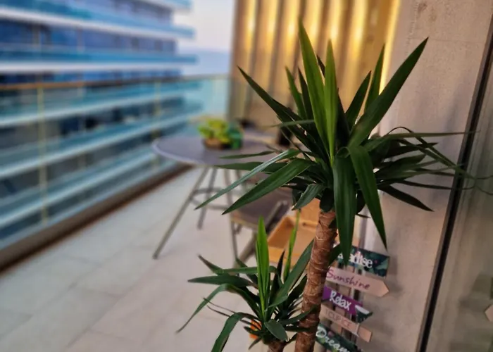 Apartment Compas Mamaia Nord